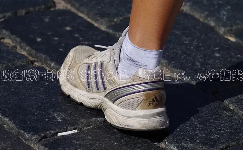 米兰体育全站app官网百度智能门户收名牌运动鞋：提升风格，舒适自在，尽在指尖
