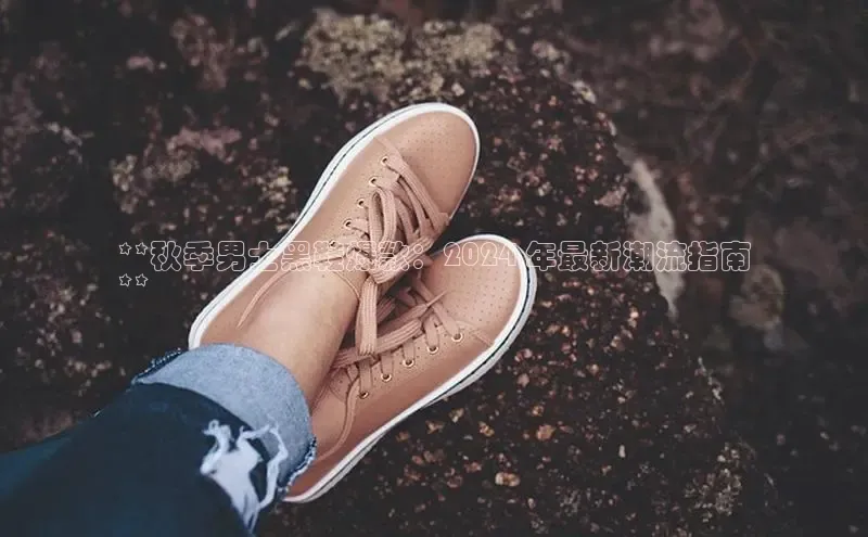 米兰app官网登录百度翻译App**秋季男士黑鞋爆款：2024 年最新潮流指南
**