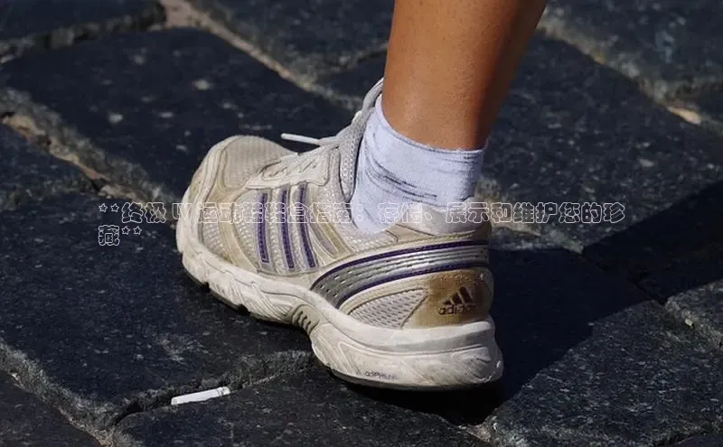 米兰体育彩票百度识图**终极 LV 运动鞋鞋盒指南：存储、展示和维护您的珍
藏**