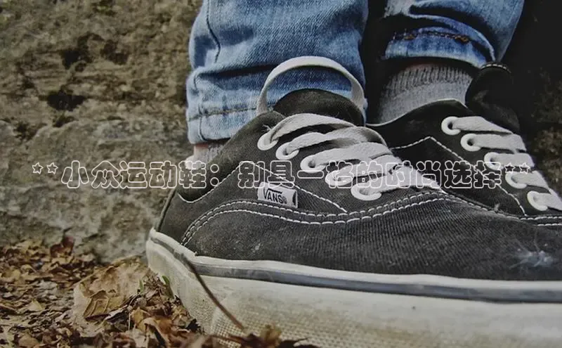 米兰官网首页登录入口哇咔哇咔文化**小众运动鞋：别具一格的时尚选择**