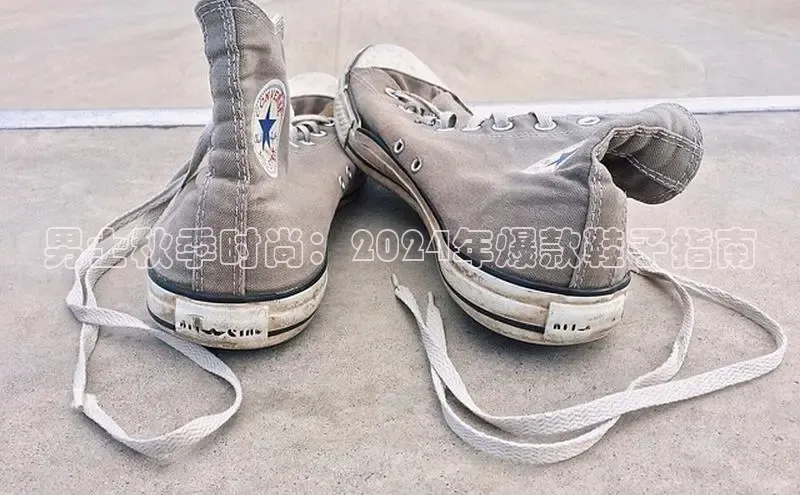 米兰app官网登录京东男士秋季时尚：2024年爆款鞋子指南