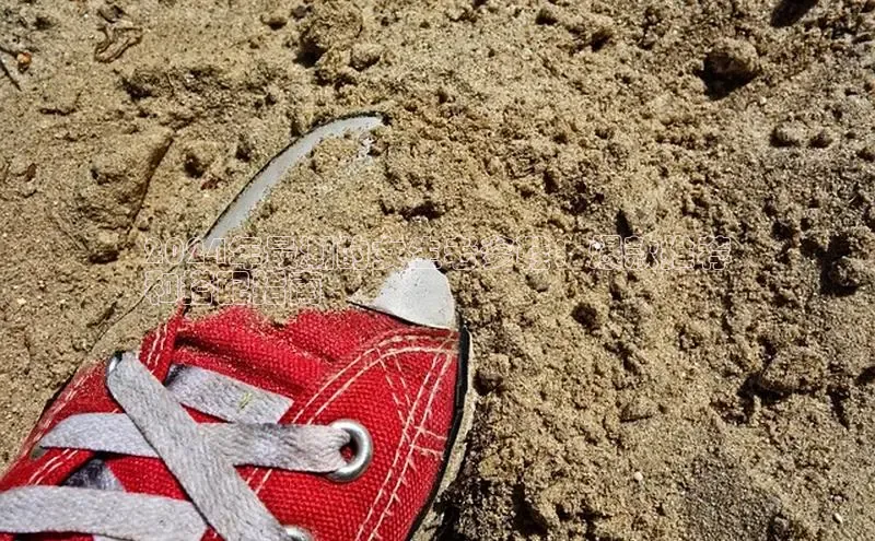 米兰体育下载地址美团2024年最潮的女生老爹鞋：爆款推荐
和搭配指南