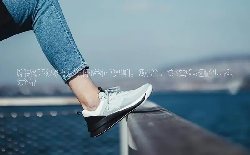 米兰官网首页登录入口百度Apollo骆驼户外运动鞋的全面评测：功能、舒适性和耐用性
分析