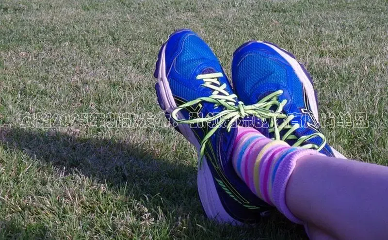 米兰体育全站app官网百度数据开放平台安踏2025年新款发布：引领潮流的体育风尚单品