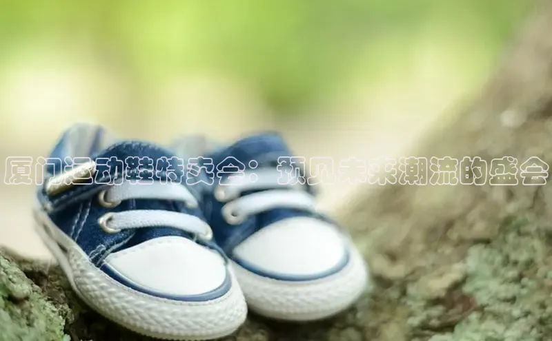 米兰app官网下载安装慧博云通厦门运动鞋特卖会：预见未来潮流的盛会