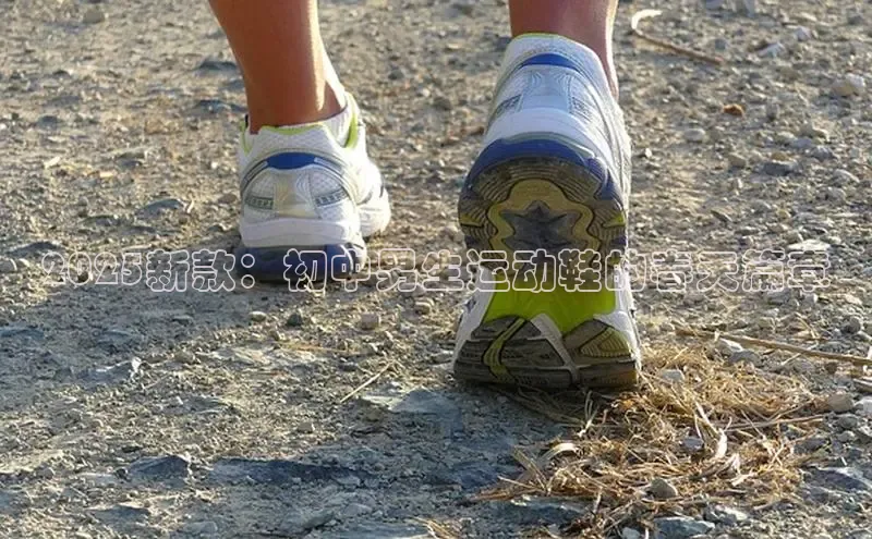 2025新款：初中男生运动鞋的春天篇章