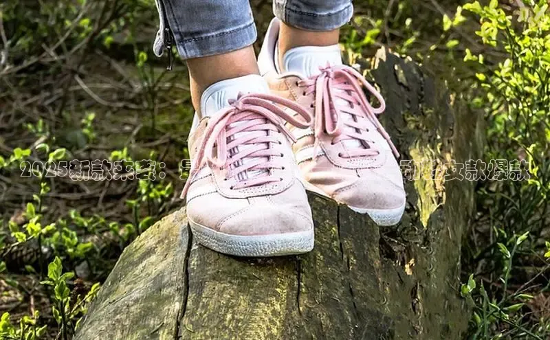 米兰全站登录入口