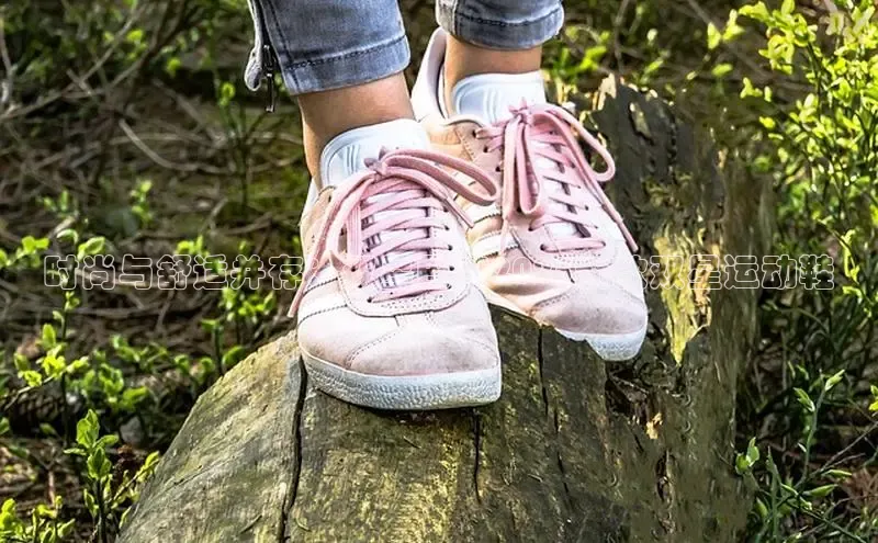 米兰·全站APP登录入口